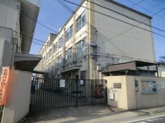 横大路小学校