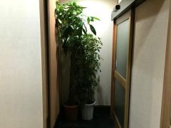 入口　観葉植物あり♪