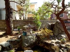 庭（池）