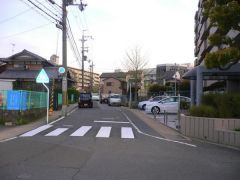 マンション前面道路