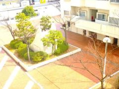 マンション敷地内