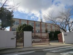 春日野小学校